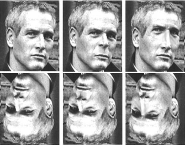 明星Paul Newman