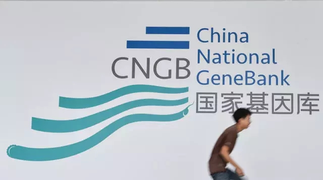 中国建成全球最大基因库
