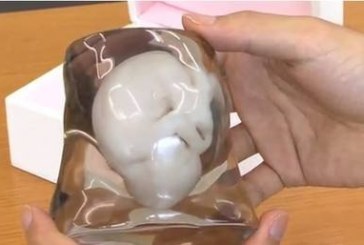 3D打印子宫或将问世 不用怀孕就能生孩子