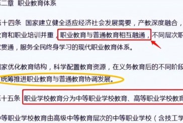 2022中考将取消普职分流_教育部辟谣了_家长心情跌宕起伏